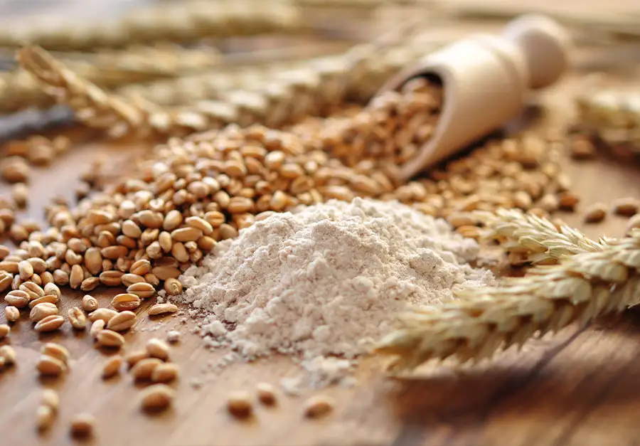 Co oznacza typ mąki? Rodzaje mąki i jej zastosowania